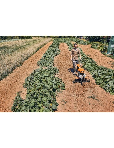 motoazada stihl mh 600