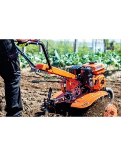 alquiler de motoazada