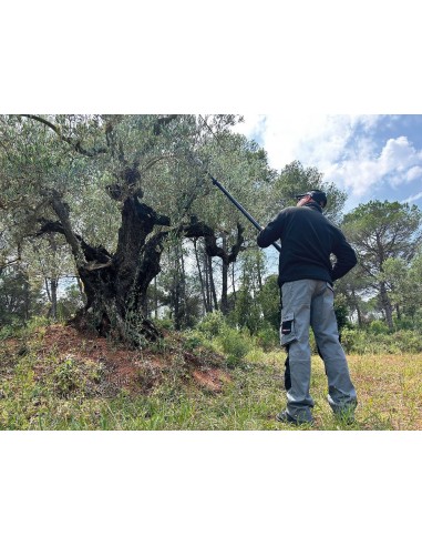 varedora de peine telescópica arvipo ov37m